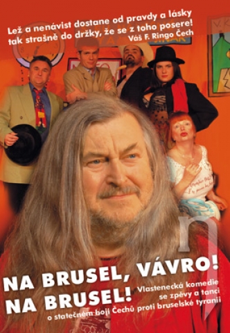 DVD Film - Na Brusel, Vávro, na Brusel