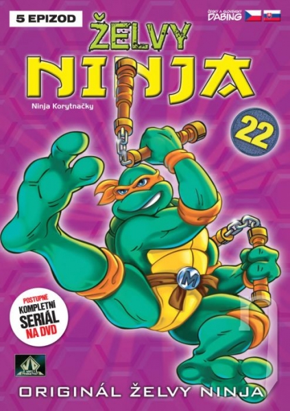 DVD Film - Ninja korytnačky 22
