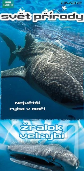 DVD Film - Svet prírody 2 - Žralok veľrybí (papierový obal)