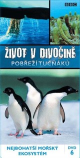 DVD Film - Život v divočine: Pobrežie tučniakov