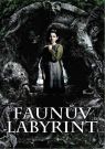 DVD Film - Faunov labyrint