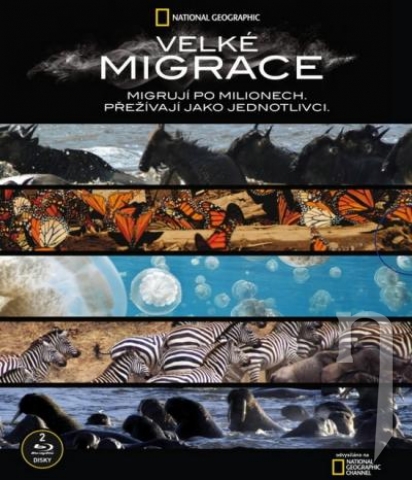 BLU-RAY Film - Kolekcia National Geographic: Velké migrace (2 bluray)