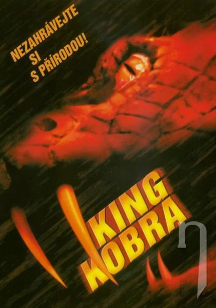 DVD Film - Královská kobra
