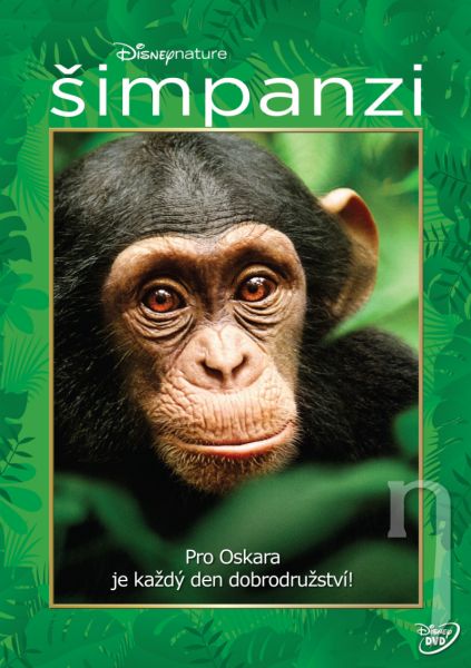 DVD Film - Šimpanzi
