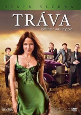 DVD Film - Tráva 6.sezóna (3 DVD)