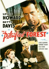 DVD Film - Zkamenělý les