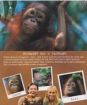 Kolekcia: BBC edícia: Denník orangutana - séria I -  2 DVD