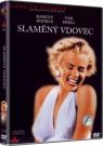 DVD Film - Slamený vdovec