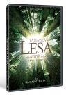 DVD Film - Tajomstvo lesa